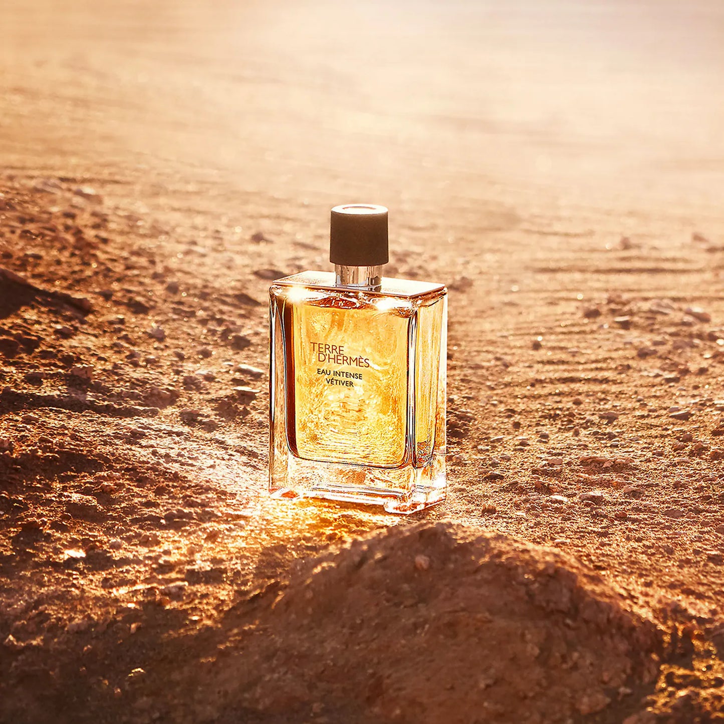 Terre D'Hermes Eau Intense Vetiver EDP 3.3 oz