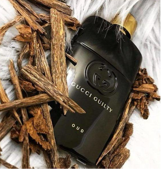 Gucci Guilty Oud EDP 3.0 oz