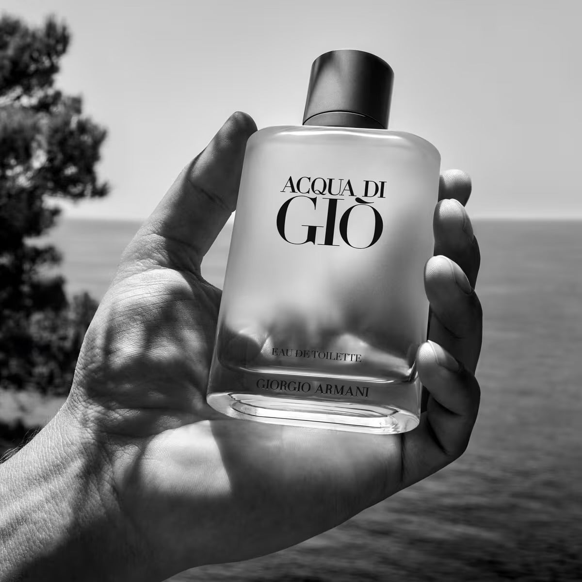 Acqua Di Gio by Giorgio Armani EDT 6.7 oz